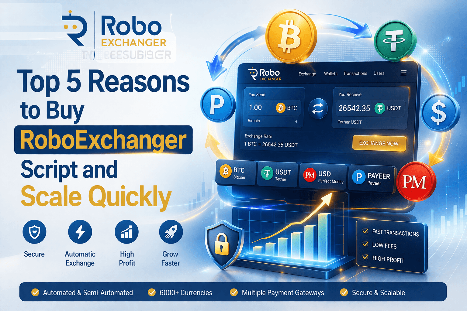 RoboExchanger fintech platform dashboard with currency exchange, growth charts and automation features