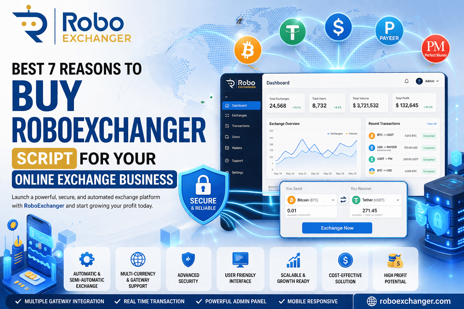 RoboExchanger dashboard with pricing plans and multi-currency exchange features
